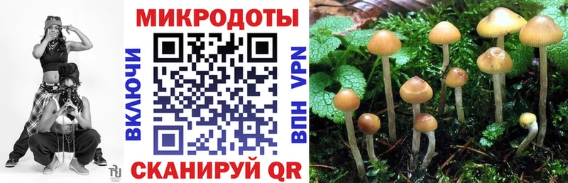 Галлюциногенные грибы GOLDEN TEACHER  купить наркотики сайты  Мостовской 