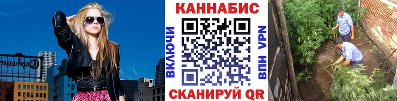 Марихуана план  как найти закладки  Мостовской 
